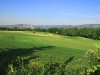 golf06